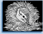 mini duck image
