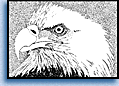 mini eagle image
